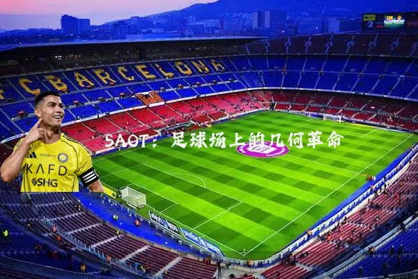 SAOT:足球场上的几何革命