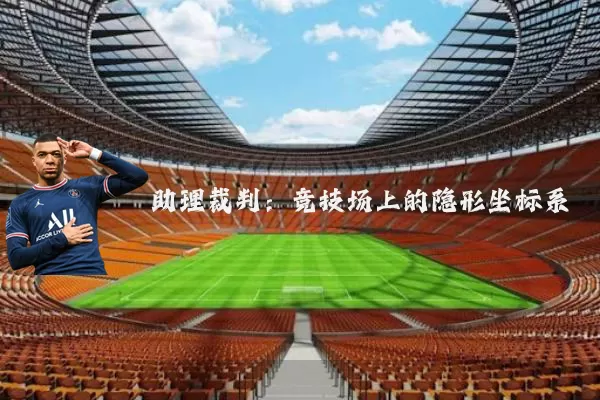 助理裁判:竞技场上的隐形坐标系